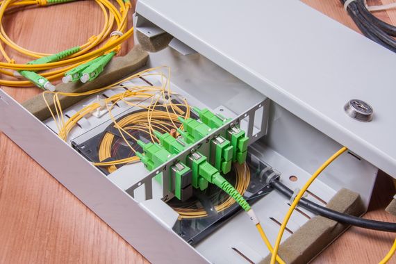 field data collection image 2